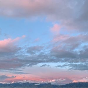 Meet your Posher, Haylee